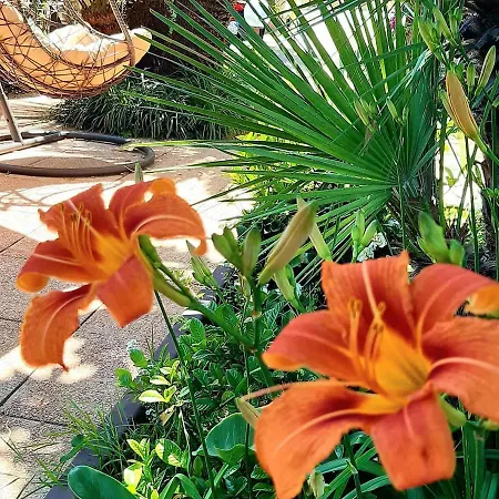 Giardino Lido di Camaiore