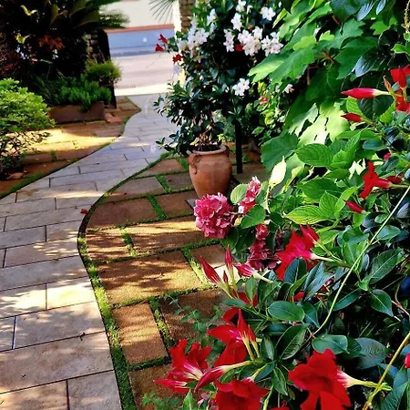 Giardino Lido di Camaiore